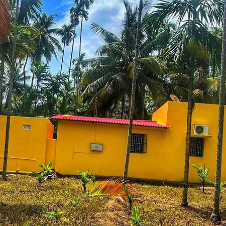 Shivalaya Farmstay Located Amdist Coconut Farm With River Access Near Isha,Adiyogi,Siruvani Alandurai Экстерьер фото