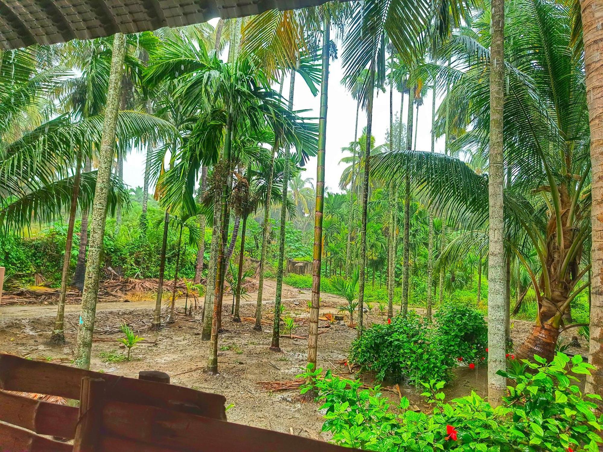 Shivalaya Farmstay Located Amdist Coconut Farm With River Access Near Isha,Adiyogi,Siruvani Alandurai Экстерьер фото