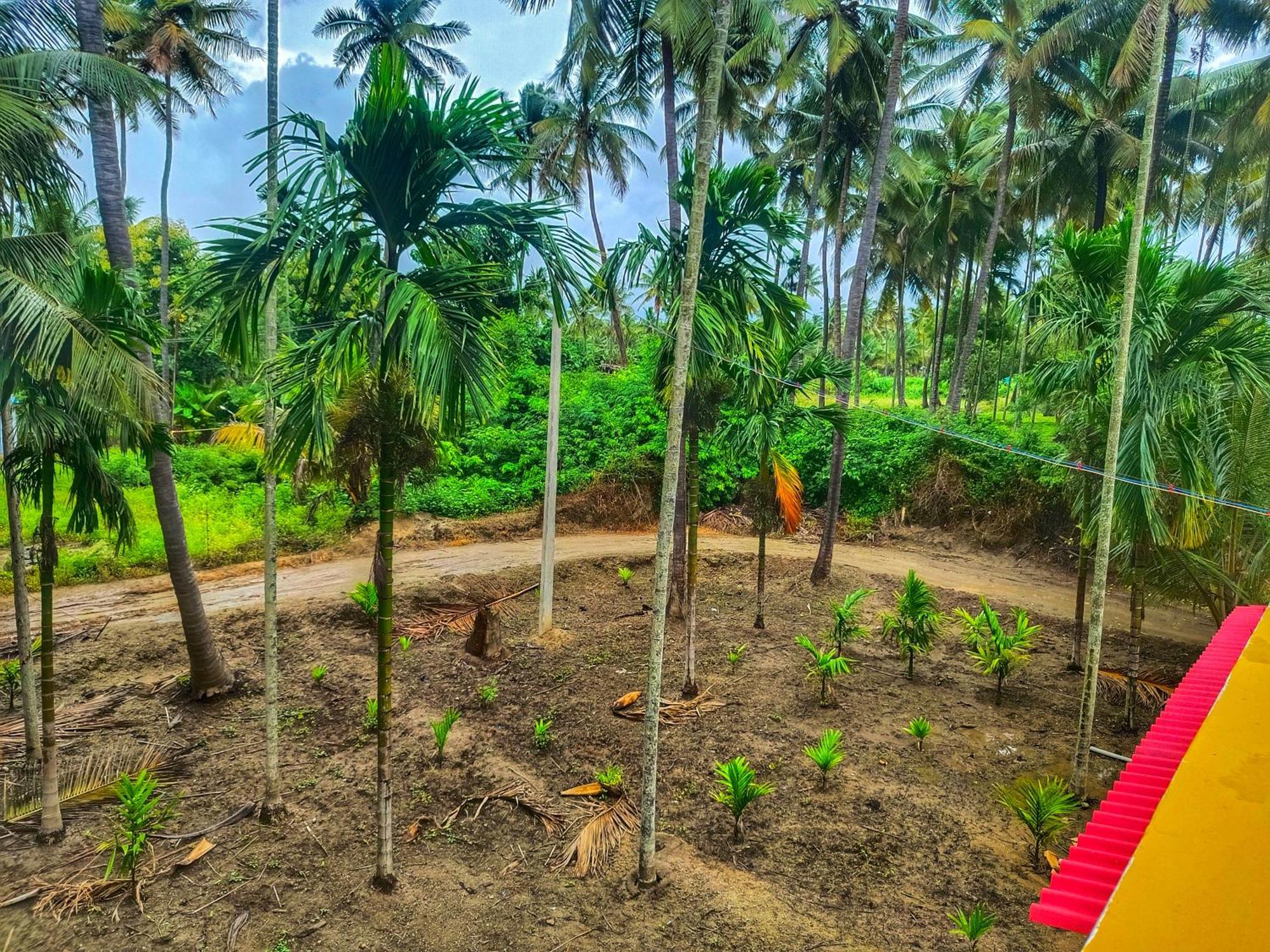 Shivalaya Farmstay Located Amdist Coconut Farm With River Access Near Isha,Adiyogi,Siruvani Alandurai Экстерьер фото